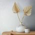 Non-woven wallpaper plain plaster texture white cream 82392 1