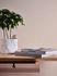 Vliestapete-Uni-Struktur-Beige-Glitzer-35866-7-63216888_3 5