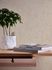 Vliestapete-Strukturiert-Uni-Beige-Creme-Glanz-39036-1-63216936_3 1