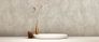 Vliestapete-Blaetter-Dschungel-Grau-Beige-38638-4-63217021_5 6