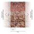 Photo Wallpaper brick wall look red brown 39246-1 2