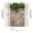 Photo Wallpaper stone wall ivy beige brown green 39247-1 2