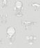 Non-Woven Wallpaper Airplane grey White Metallic JR3011 1