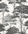 Vliestapete-Wald-Baeume-Berge-Creme-Schwarz-MN3013-63217500 2