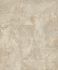 Non-Woven Wallpaper Graphic Plaster Look Beige Silver A56102 1