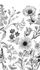 Digitaldruck-Blumen-Blaetter-Gemalt-Weiss-Schwarz-ML1601-63217702_1 2