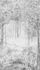 Digitaldruck-Wald-Landschaft-Baeume-Grau-Weiss-ML2802-63217717_1 2