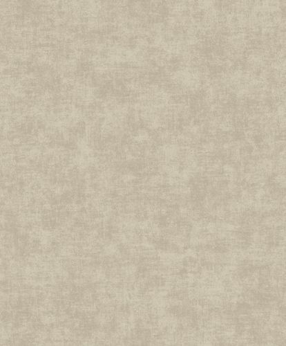 Vliestapete-Uni-Beton-Optik-Vintage-Grau-Beige-A53704-63217757