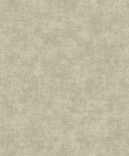 Vliestapete-Uni-Beton-Optik-Vintage-Gruen-Grau-A53709-63217762