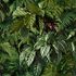 Non-woven wallpaper leaf pattern tropics green black A58601 2