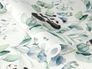 Rasch Vliestapete Pandabären Weiß Schwarz Grün 301144 Detail 1