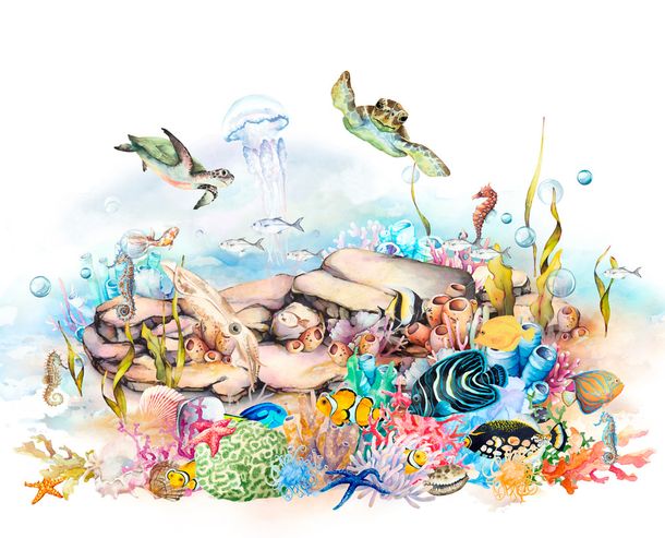 Rasch Wandbild Meer Korallen Fische Weiß Blau 365030 Scan