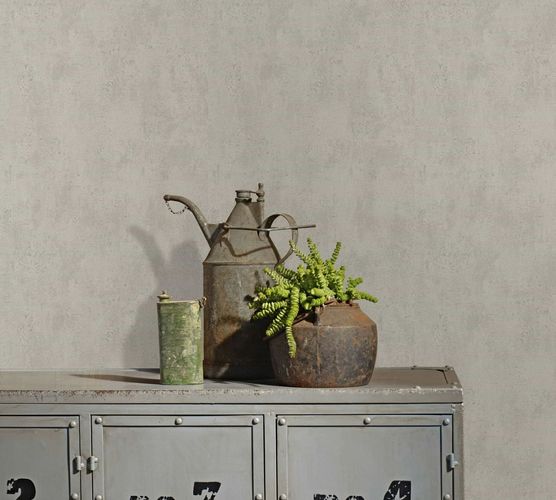 Vliestapete Beton Struktur Uni Beige Grau 82399 Raum