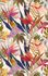 Wallpaper sample article 33434 1