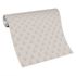 Vliestapete Fächer Federn Beige Grau Metallic 10346-37 Rolle 5