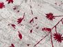 Teppich Antea Blumen rot Kurzflor pflegeleicht Astra Detail 4