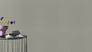 Vliestapete Rasch Linien Struktur Grau Metallic 720167 Raum 3