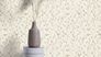 Vliestapete Rasch Blätter Ranken Creme Beige Grau 486131 Raum 1
