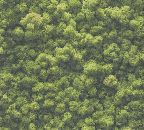 Wallpaper samples 39405-1