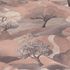 Non-woven wallpaper forest trees Asia brown beige 10433-32 3