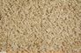 Teppich-Oslo-SH07A-80-x-150-cm-Beige-63221909_1 2