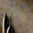 Non-woven wallpaper Elle plaster look gray gold metallic 10438-38 1