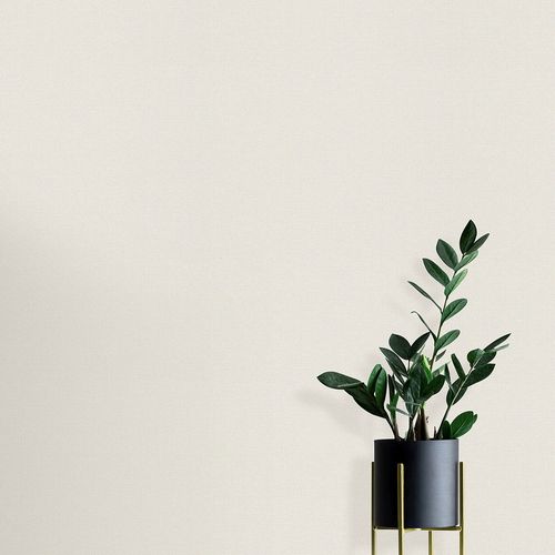 Vliestapete Elle Struktur Uni Creme Weiß 10444-01 Zimmer