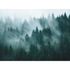 Fototapete Wald Landschaft Nebel Grün Blau 39898-1 2