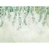 Fototapete Aquarell Blätter Ranken Grün 39907-1 2