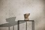 Vliestapete Ornamente Creme Gold Metallic 78672-2 Raum 1