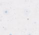 Vliestapete-Kinder-Weltraum-Planeten-Beige-Blau-77131-1-63222978 3
