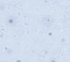 Vliestapete-Kinder-Weltraum-Planeten-Blau-77131-2-63222979 3