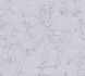 Vliestapete-Jugendzimmer-Skater-Grafisch-Grau-77174-1-63223007_1 3