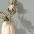Non-woven wallpaper concrete look green grey 35543 6