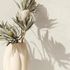 Non-woven wallpaper concrete look beige cream 35545 1