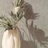 Non-woven wallpaper plain plaster look beige grey 35550 6