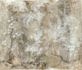 Photo wallpaper non-woven jungle shabby beige grey 35095 2