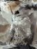 Photo wallpaper non-woven graphic art grey brown 35097 2