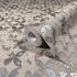 Non-woven wallpaper circles beige silver metallic 35120 3