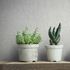 Non-woven wallpaper plaster look shabby grey 35137 3