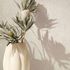 Non-woven wallpaper plaster look cream beige 35139 3
