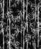 Vliestapete-Floral-Bambus-Blaetter-Schwarz-Grau-81672-63223638 2