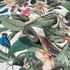 Non-woven wallpaper leaves jungle white green pink 81686 4