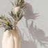 Vliestapete-Uni-Modern-Struktur-Beige-Creme-82480-63223675_2 3