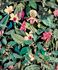 Wallpaper sample article 81685 1