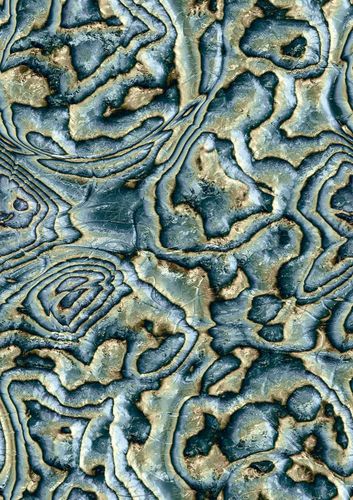 Wallpaper sample article 81692