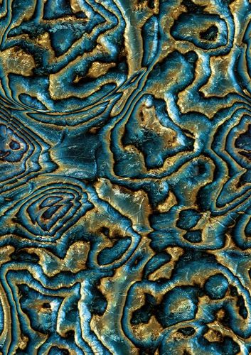 Wallpaper sample article 81693