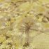 Vliestapete Floral Aquarelloptik Beige Gelb Braun 10506-20 Detail 3