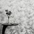 Tapete Guido Maria Kretschmer Blumen Silber Metallic Raum 1