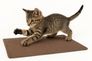 Sisal Katzenteppich Kratzteppich Sisalteppich Kratzmatte Katze 2